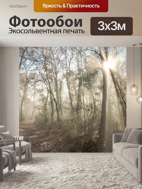 Фотообои Лес