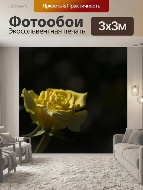 Фотообои Роза