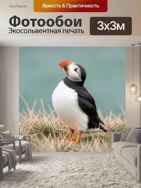 Фотообои Пуффин на прибрежной траве