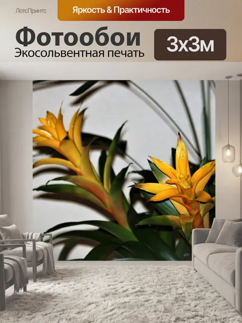 Фотообои Две желтые бромелии на белом