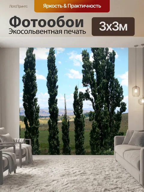 Фотообои высокие тополя