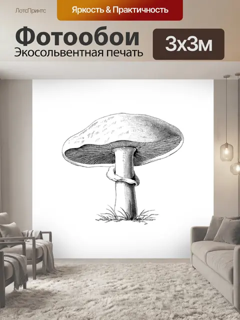 Фотообои Клипарт старинный грибной мотив