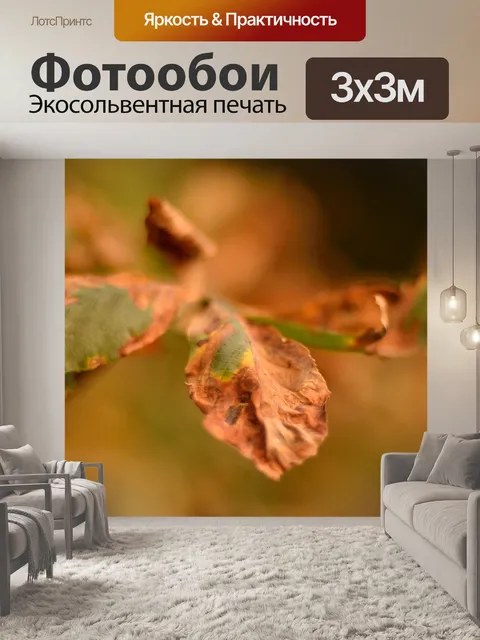 Фотообои Лес