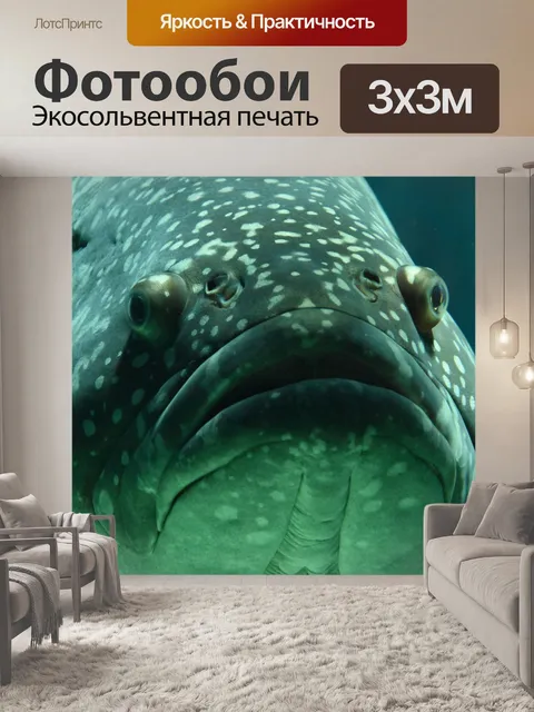 Фотообои Рыба