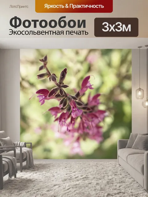 Фотообои Цветы
