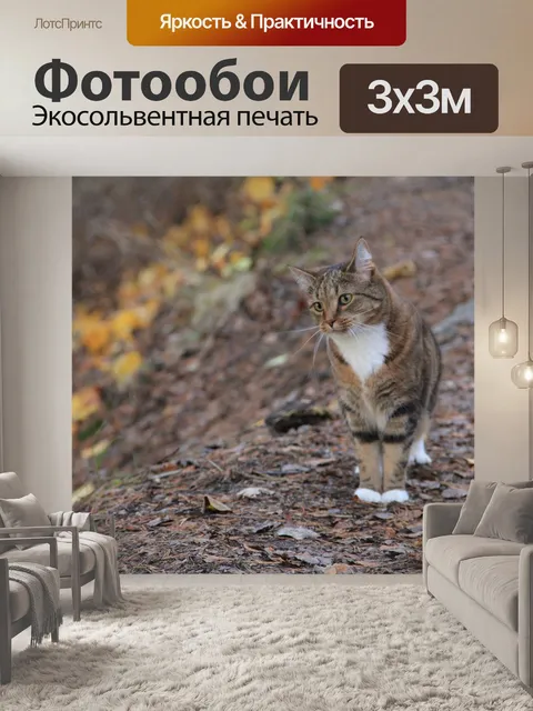 Фотообои Природа