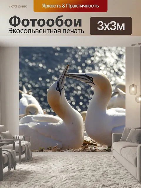 Фотообои Птицы