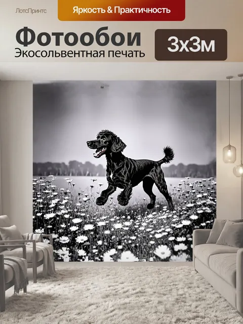 Фотообои сцена утренней прогулки, где черный пудель весело прыгает по полю, заполненному дикими цветами