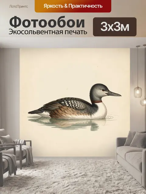 Фотообои Утка на спокойной воде
