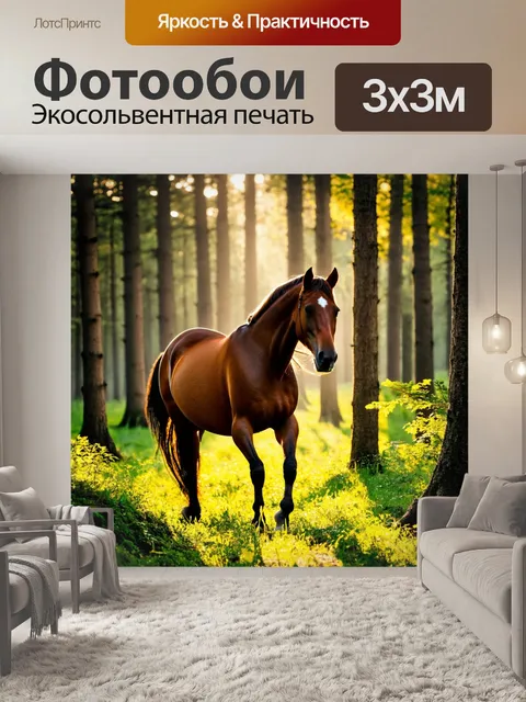 Фотообои конь, который выходит из леса, солнечные лучи пробиваются сквозь деревья