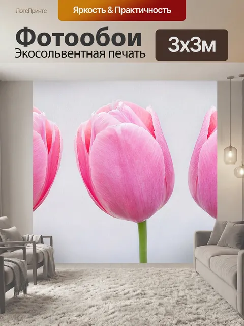 Фотообои Тюльпаны