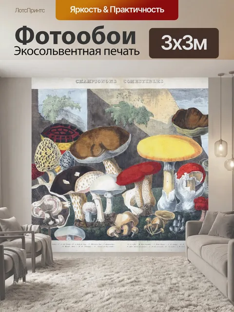 Фотообои Винтажная иллюстрация чемпиона грибов