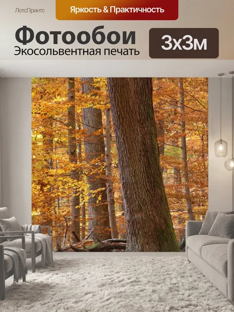 Фотообои Лес