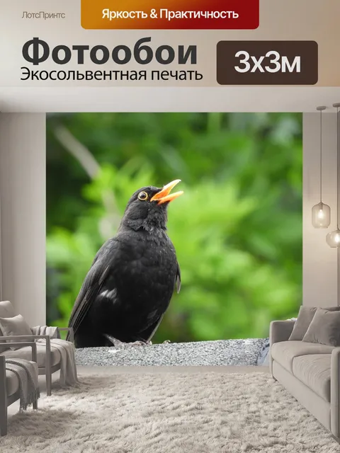 Фотообои Птицы