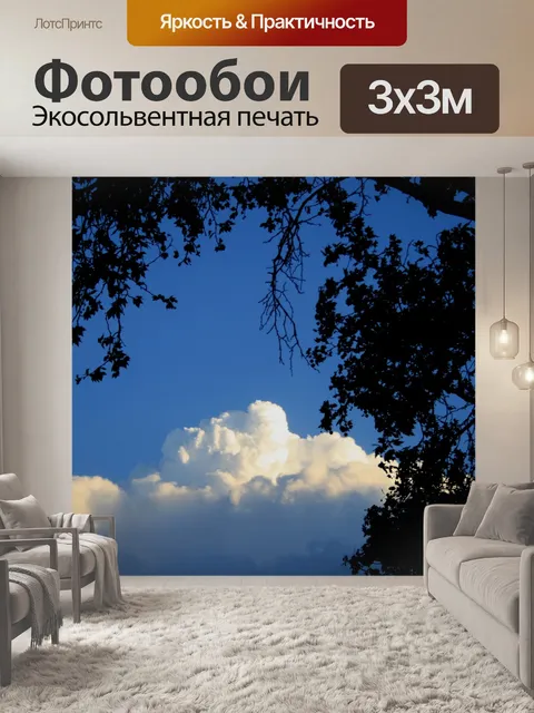 Фотообои силуэт листвы и облака