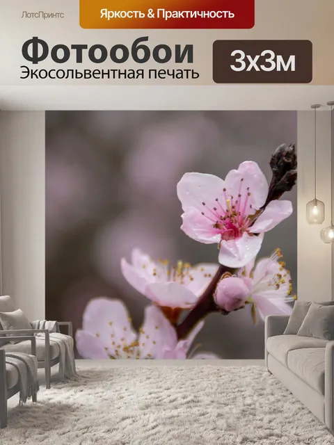 Фотообои Цветок
