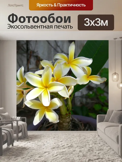 Фотообои Цветы