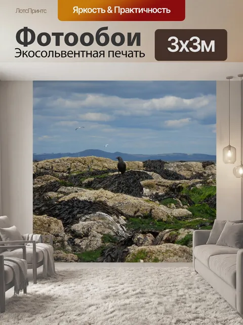 Фотообои Птица