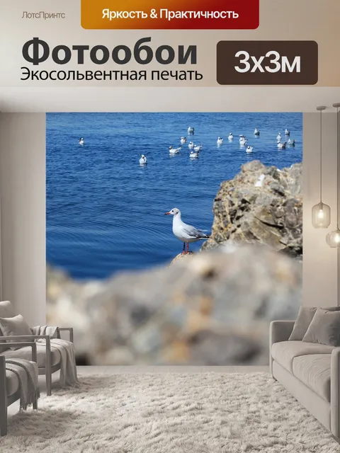 Фотообои Чайки