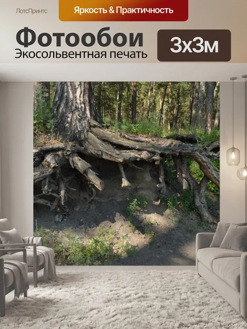 Фотообои Корни деревьев