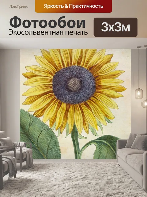 Фотообои Подсолнух 1796
