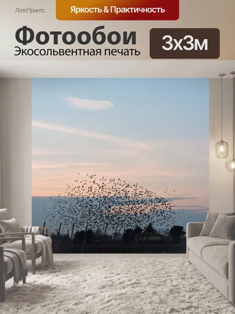 Фотообои Птицы