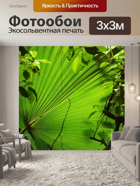 Фотообои Предметы
