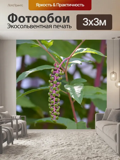 Фотообои Цветок