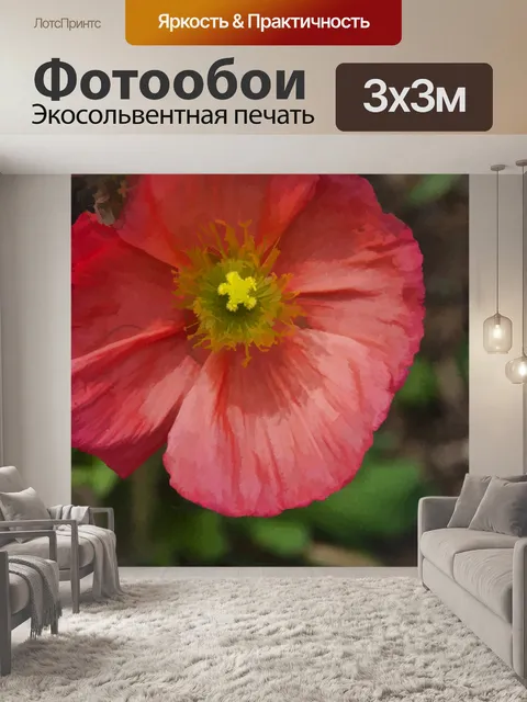 Фотообои Красный нежный цветок