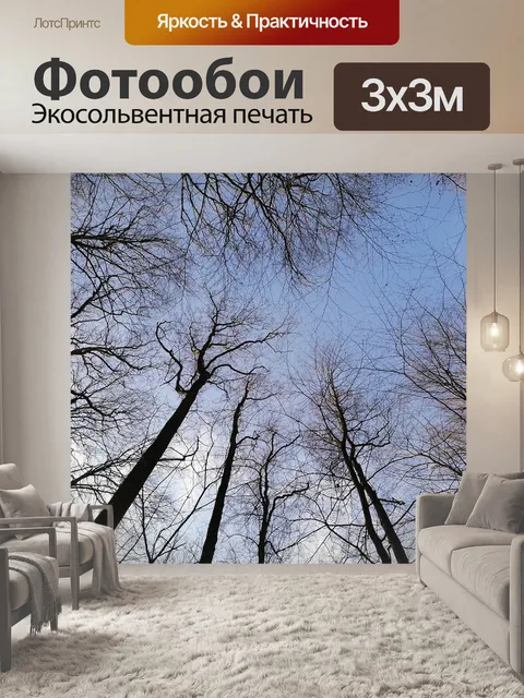 Фотообои Деревья