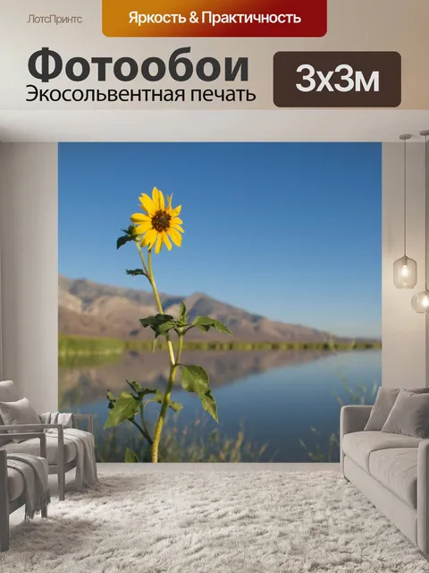 Фотообои Калифорния подсолнечника на озере