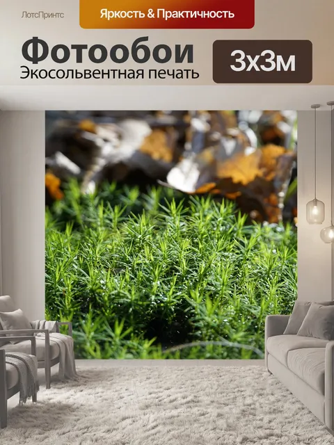 Фотообои Девичий мох