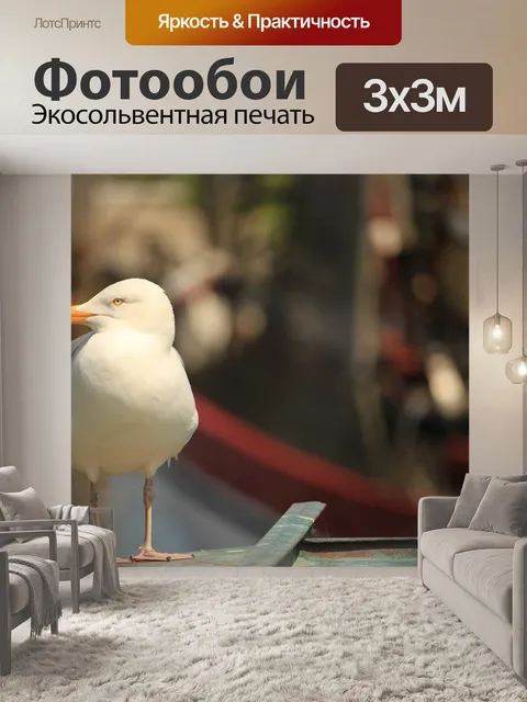 Фотообои Чайка