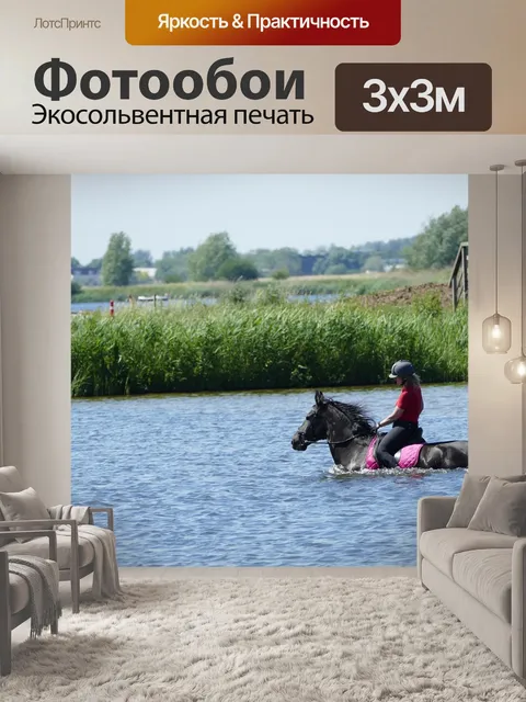 Фотообои Лошадь