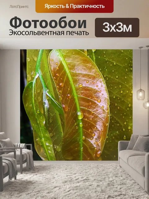 Фотообои листья с каплями воды