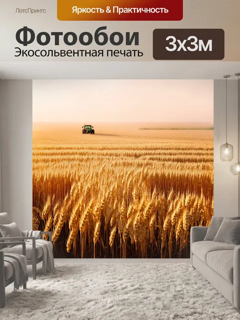 Фотообои огромное поле пшеницы растянулось до самого горизонта, каждая волна стеблей напоминает золотое море