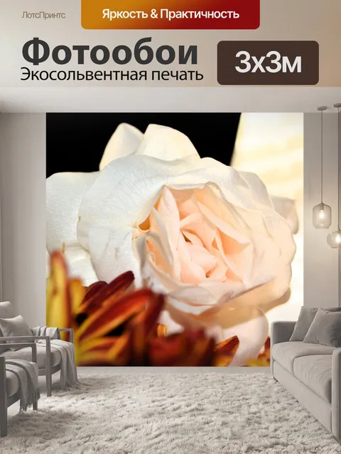 Фотообои Лепестки розы белые цветы макро