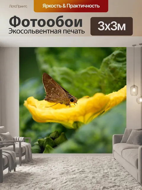 Фотообои Розы