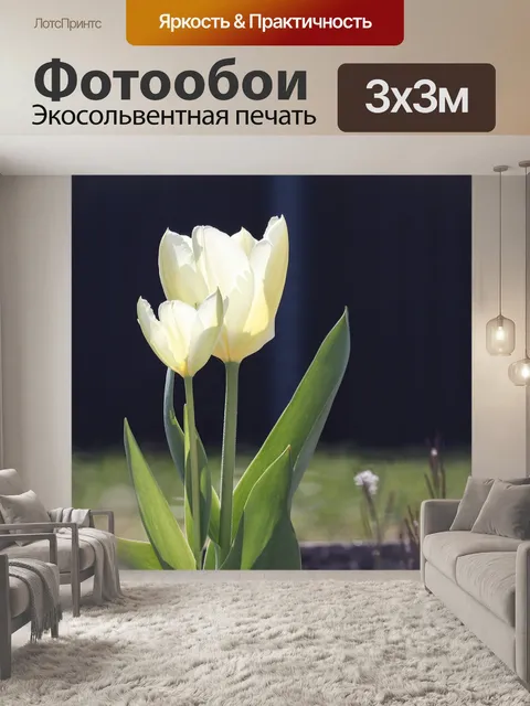 Фотообои Тюльпаны