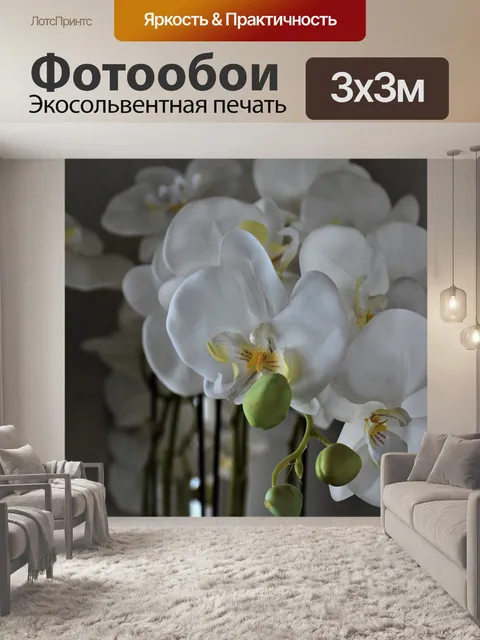 Фотообои Орхидеи
