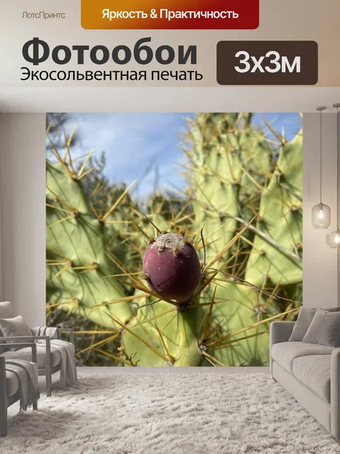 Фотообои Пейзаж