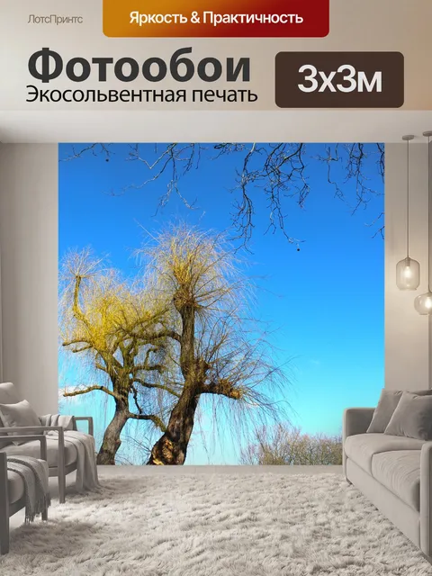 Фотообои Деревья