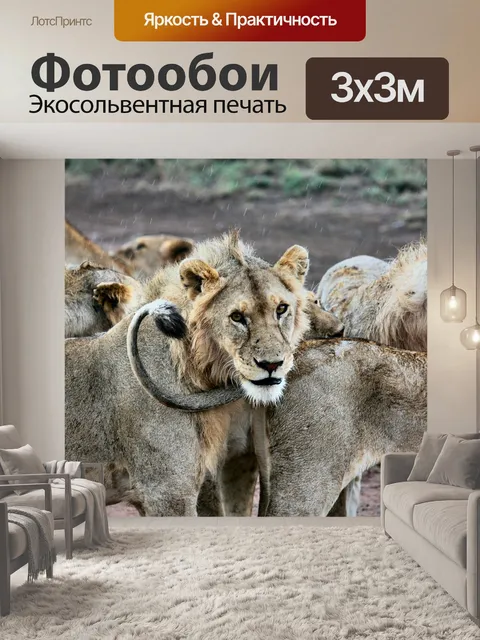 Фотообои Животное