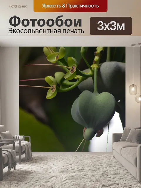 Фотообои Цветы