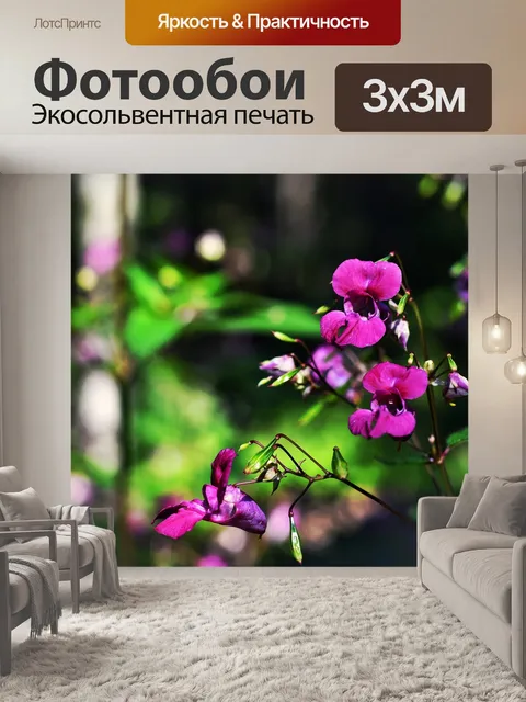 Фотообои Лес