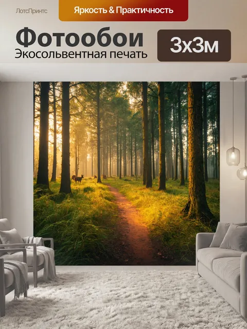 Фотообои таинственный лес с узкими тропинками, высокая трава, шорохи животных, вечернее сияние
