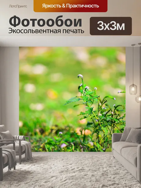 Фотообои Цветы