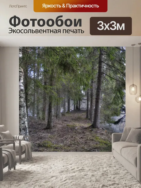 Фотообои Лес