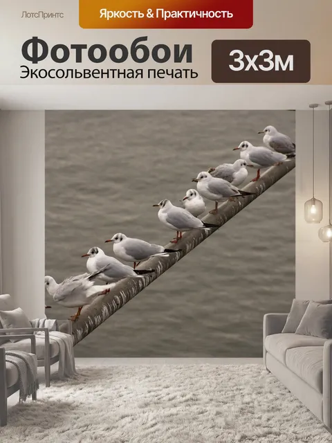Фотообои Птицы