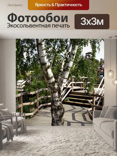 Фотообои Береза